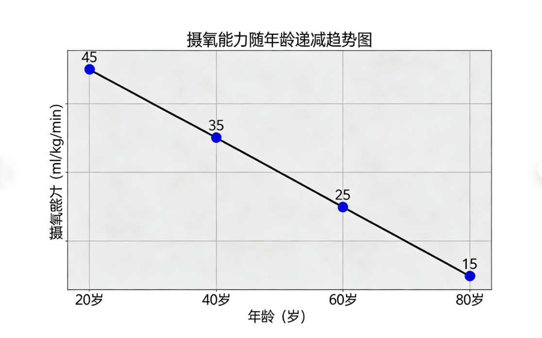 1769757408897713.jpg 222.jpg